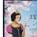4층 다나 약국 이미지