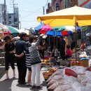 노산동물병원 이미지