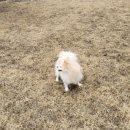 촌노의 정원민박 이미지