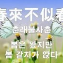 국회권력에 유린 당하는 윤석열 대통령 권력. 이미지