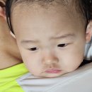 12월 천안 소노벨 오션어드벤처 17갤아기랑 수건필수 (사우나에서도 유료) 음식반입 관련 꿀팁