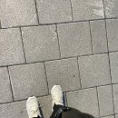 동글이네과일야채