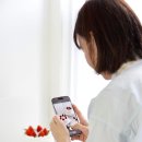 (주)롯데슈퍼광주금호점 | [광주 케이크 클래스] "아이싱이 제일 쉬웠어요!" 초보자도 꼿꼿한 각을 세우는 아이싱 마스터 클래스 후기