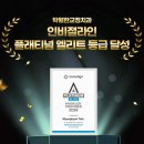 둔산중로-3 이미지