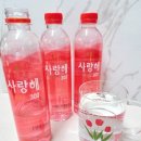 사랑해 | 해양심층수 제대로 마셔본 후기, 사랑해300 프리미엄 미네랄워터 추천
