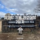 전원목장 | 아기랑 겨울 제주여행 2일차 일정｜아르떼뮤지엄·성이시돌목장·오마카세