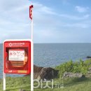 디자인비전 이미지