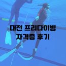 인투더씨프리다이브
