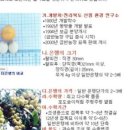 금반농장 이미지