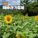 (주)해바라기