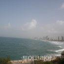 봄의언덕 이미지