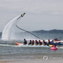 보드에 바나나 이미지