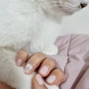 뽑기아트샵 | 천안 네일샵 네일뮤트 내돈내산 후기 2025 겨울 네일아트 추천