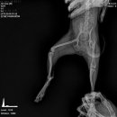 바른동물병원 이미지