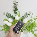 뉴메딕스 이미지