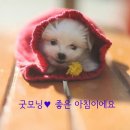 알콩달콩 이미지