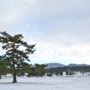 벼리 게스트하우스 이미지