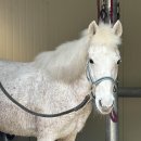 엘포리 캠핑장 이미지