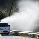 파주양돈단지(1) 이미지