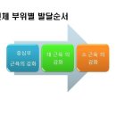 MM Gym 이미지