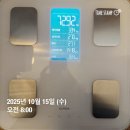 대로1-4 | 스위치온 시작! 1-4일차 후기