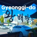 평남로 | 평택 왕배짬뽕 솔직 후기 - 불 맛 가득 짬뽕 제대로 하는 맛집