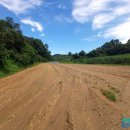 HL 태양광발전소 이미지