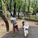 비가 그친 수요일 이미지