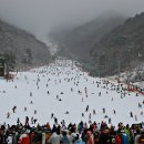 무주부화장 이미지