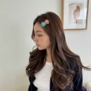 H8194 이미지
