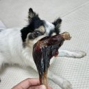 아우우(Aww) 네이버블로그