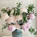 소호앤노호 이미지