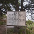 숲쟁이 이미지