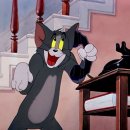 톰과제리 이미지