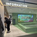 미미슈퍼 | 동대문 미미라인 후기, 영업시간 및 주차 팁 소개