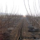 익수농장 이미지