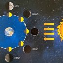 퍼스트과학 이미지