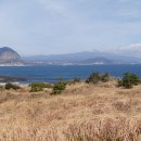 차귀도 약국 이미지