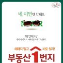 광고일번지