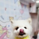 프리펫시티 이미지