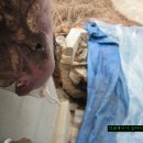 달그리안민박 이미지