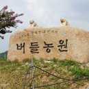 최재명농장 네이버블로그