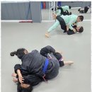 화랑합기도 주짓수 금촌도장 | 화랑새말도장 금촌 유일무이 도장에서의 특별한 주짓수와 합기도 경험