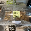 심학산야영장 | 파주 심학산 들꽃쌈밥 들정식 후기 - 쌈채소 무한제공 | 후식으로 아이스크림 제공