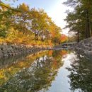 청도 힐링오토캠핑장 이미지