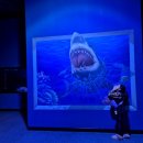 여수수산 | 여수 아쿠아리움만 있는 줄 알았죠? 가성비 아쿠아리움 해양수산과학관 솔직 후기