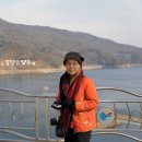 소양강가든 이미지