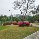 여주-0859 네이버블로그