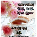 ☕커피는 과연 좋은가☕- 인생은 커피 한잔 중 이미지