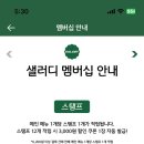 샐러디제주시청점 이미지